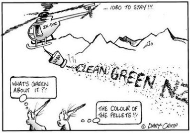 cleangreennz