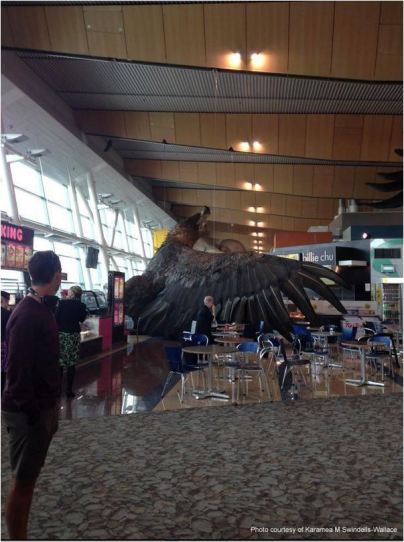Eagle Wellington airport2