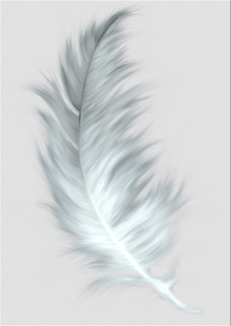 white feather