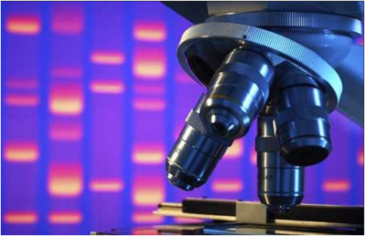 Biotechnologist says goodbye New Zealand