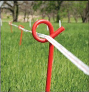 Why did a child at the school have access to a potentially deadly weapon?