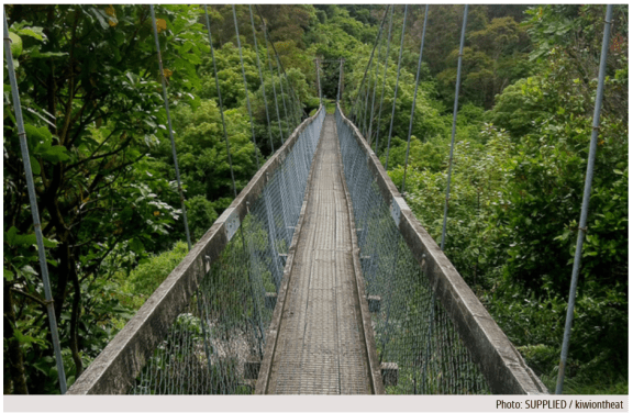 Lake Waikaremoana Bridge