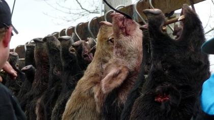 823518_166745436808589_1538945915_o