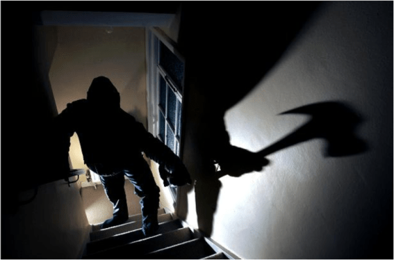 kiwi criminals deported from Australia