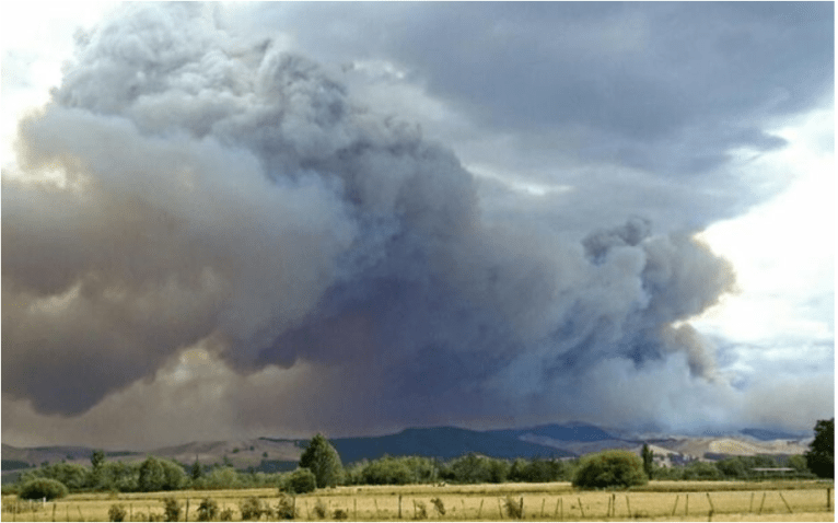 marlborough forest fire