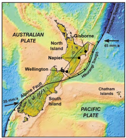 Hikurangi subduction zone