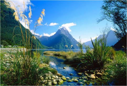 new-zealand-nice-scenery-shame-about-the-rest